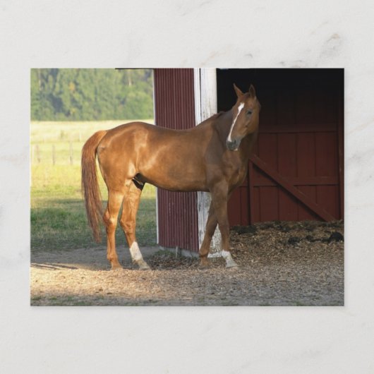 栗立ち ポストカード (正面)