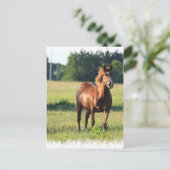 栗馬立てはがき ポストカード (スタンド正面)