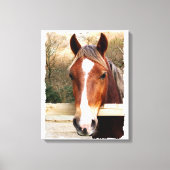 栗馬 キャンバスプリント (正面)