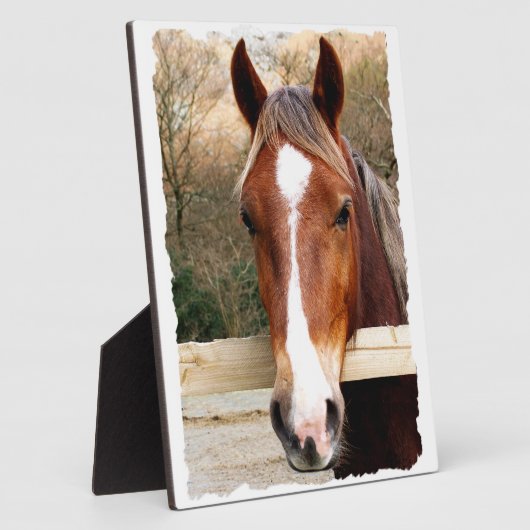 栗馬 フォトプラーク (側面)