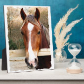 栗馬 フォトプラーク (側面)