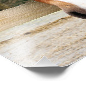 栗馬 フォトプリント            (角)