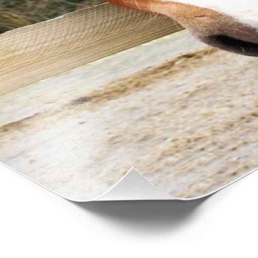 栗馬 フォトプリント            (角)