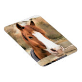 栗馬 マグネット (右側)