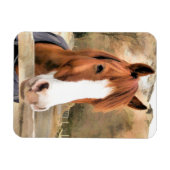 栗馬 マグネット (横)