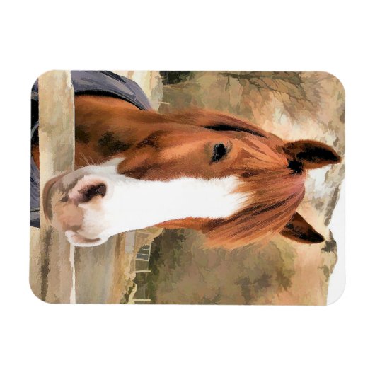 栗馬 マグネット (横)