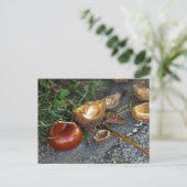 栗(コンカー):秋はこちら ポストカード (スタンド正面)