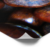 栗 ポスター (角)