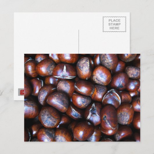 栗 ポストカード (正面/裏面)