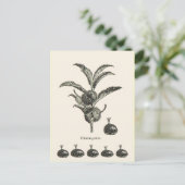 栗 ポストカード (スタンド正面)