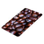 栗 マグネット (左側)