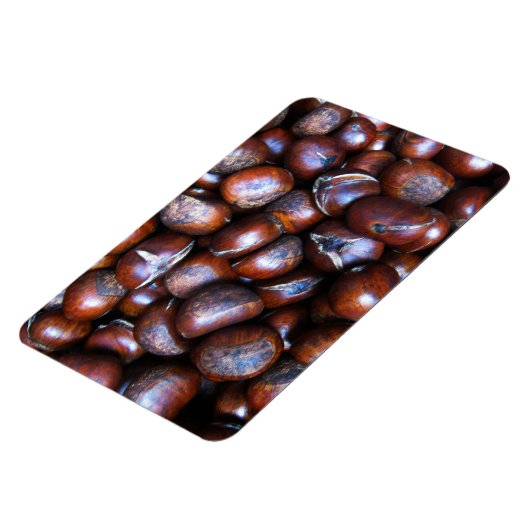 栗 マグネット (左側)