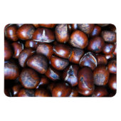 栗 マグネット (横)