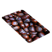 栗 マグネット (右側)