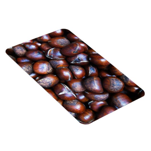 栗 マグネット (右側)