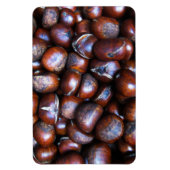 栗 マグネット (縦)