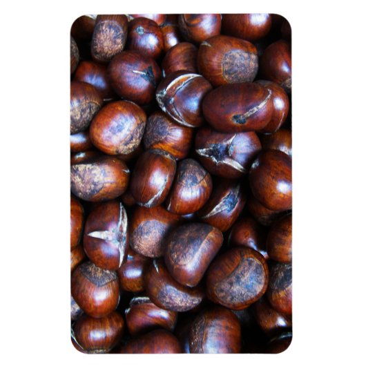 栗 マグネット (縦)