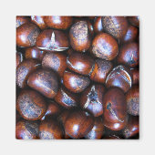 栗 マグネット (正面)