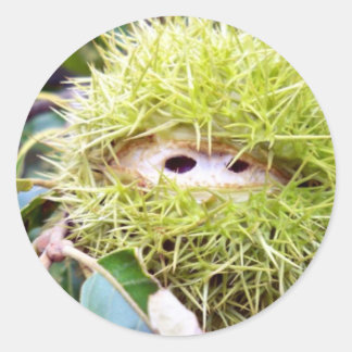 栗 ラウンドシール