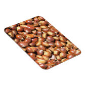 栗–211079栗の甘栗の甘栗のデリ マグネット (右側)