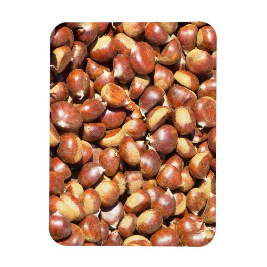 栗–211079栗の甘栗の甘栗のデリ マグネット (縦)