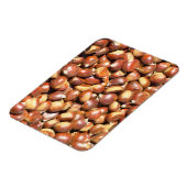 栗–211079栗の甘栗の甘栗のデリ マグネット (左側)