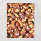 栗–211079栗 チラシ (正面)