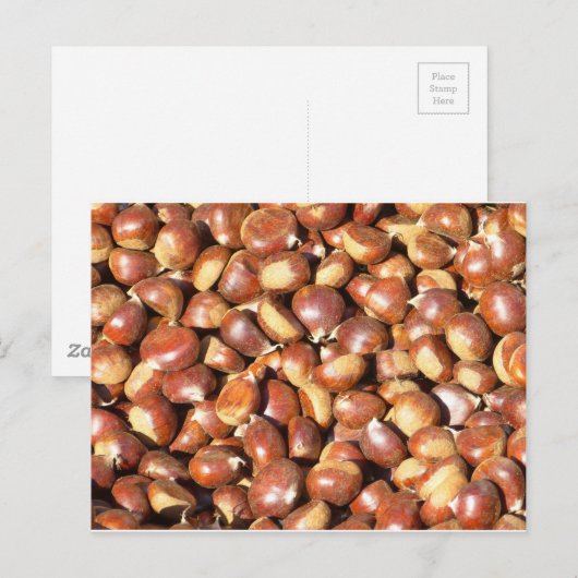 栗–211079栗 ポストカード (正面/裏面)