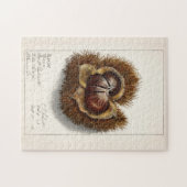 栗(Castanea)の水彩画 ジグソーパズル (横)