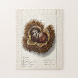 栗(Castanea)の水彩画 ジグソーパズル
