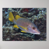 校長先生 ポスター (正面)