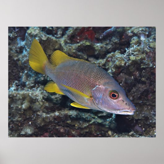 校長先生 ポスター (正面)