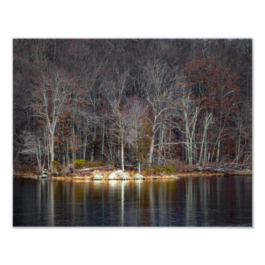 核の冬 フォトプリント            (正面)