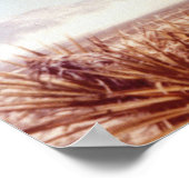 核兵器試験運用バスター – ジャングル1951 ポスター (角)