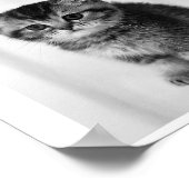 核戦争は子猫のかわいい猫ことわざ ポスター (角)