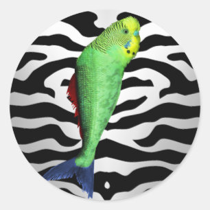 核突然変異体動物- Budgieの魚 ラウンドシール