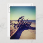 根こそぎビーチ ポストカード (正面/裏面)