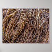 根こそぎ2プリント、ポスター紙(半光沢) ポスター (正面)