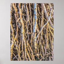 根こそぎ4プリント、ポスター紙（半光沢）