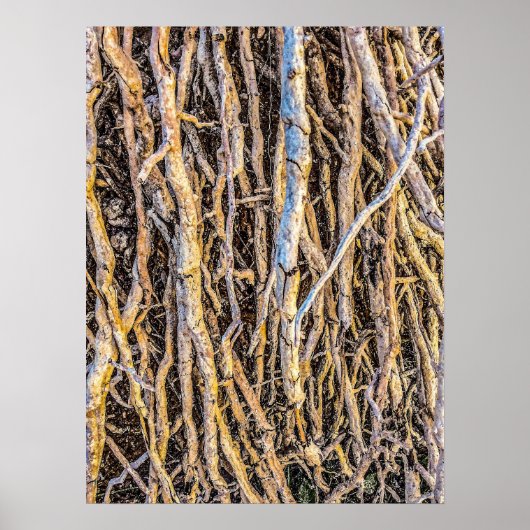 根こそぎ4プリント、ポスター紙（半光沢） ポスター (正面)