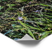 根こそぎ5プリント、ポスター紙（半光沢） ポスター (角)