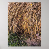 根こそぎ5プリント、ポスター紙（半光沢） ポスター (正面)