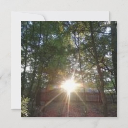 根ざした - 祈りの詩のカード (裏面)