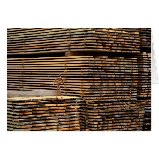 根に戻る木質 (正面横)