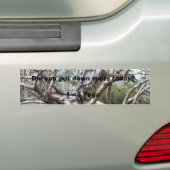 根を今日下に置きましたか。 バンパーステッカー (車上)