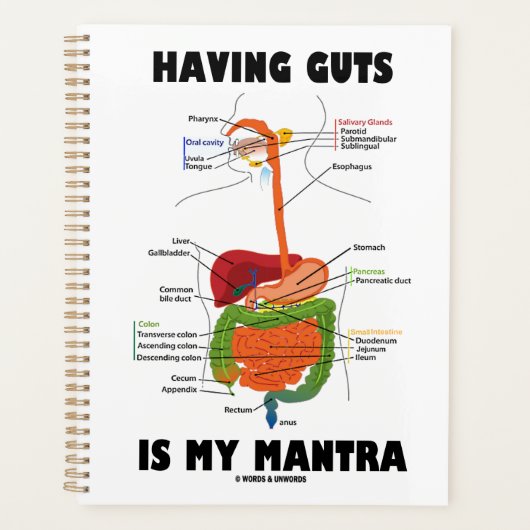 根性を持つことは私のマントラ消化器系ユーモアである プランナー手帳 (正面)
