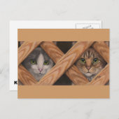 格子フェンスの後ろのキャッツグレー虎猫はがき ポストカード (正面/裏面)