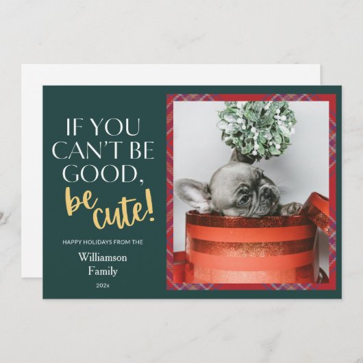 格子模様のクリスマスペットの写真 シーズンカード (正面/裏面)