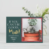 格子模様のクリスマスペットの写真 シーズンカード (スタンド正面)