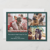 格子模様のクリスマスペットの写真 シーズンカード (裏面)